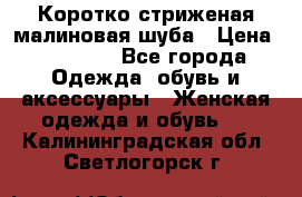 Коротко стриженая малиновая шуба › Цена ­ 10 000 - Все города Одежда, обувь и аксессуары » Женская одежда и обувь   . Калининградская обл.,Светлогорск г.